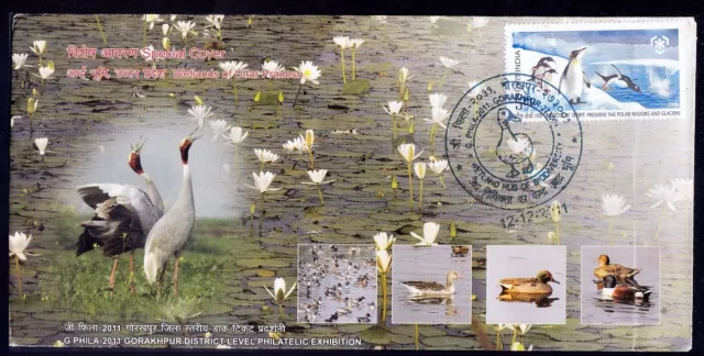 Wetlands, Biodiversity, Ducks, Water Birds, India 2011 Cover Pictorial cancel