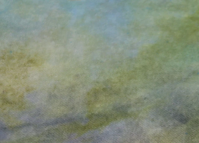 ALFOMBRA TEÑIDA A MANO VERDE LLUVIA PRIMAVERA AZUL LANA ENGANCHADA Cur manchado
