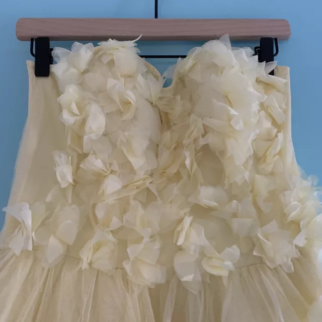 Topshop Applique Flower Organza Tulle Mesh Mini Bandeau Prom Dress 8 RARE 2