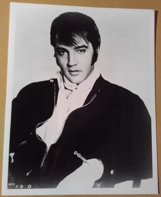 8x10 Photo~ ELVIS PRESLEY ~Headshot pose with long sideburns
