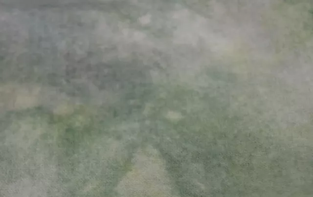 ALFOMBRA TEÑIDA A MANO PINO SUAVE LANA ENGANCHADA más de 1/8 yarda verde cur manchado