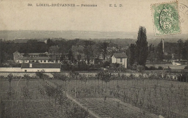 LIMEIL BRÉVANNES Panorama CPA Saintry - L'Arcadie (180012)