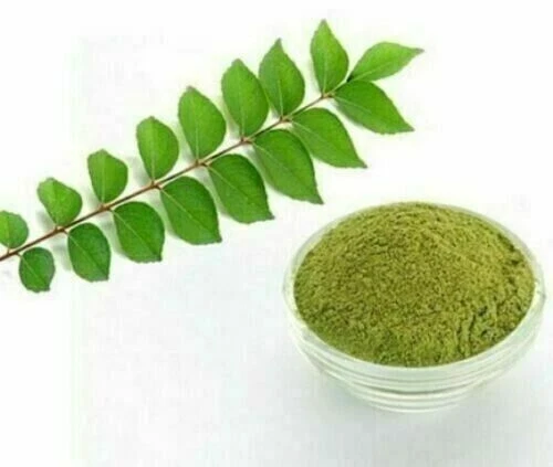 Dry curry store leaves powder