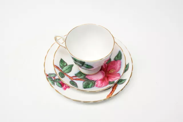 Tuscan Fine China UK, Trio, Red Hibiscus C9453, Gilt Trio Cup, Saucer and Plate 3