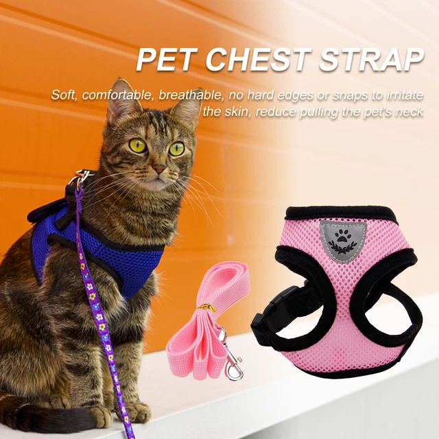 Arnés de malla gatito mascota gato perro chaleco correa de plomo para entrenamiento (rosa M)