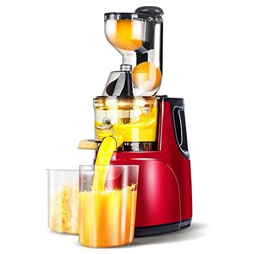 OverTwice Slow Masticating Juicer Cold Press Juice Extractor Apple Orange