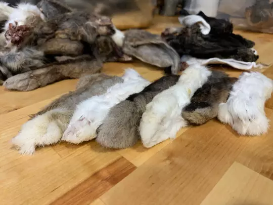 Rabbit Feet Dog Chews Natural Dewormer Training Toy Dehydrated Furry Fur Treat 2