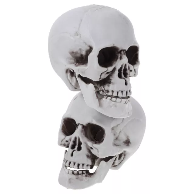 4 piezas Fiesta Cráneo Halloween Cabeza Esqueleto Ventana Decoración Artificial