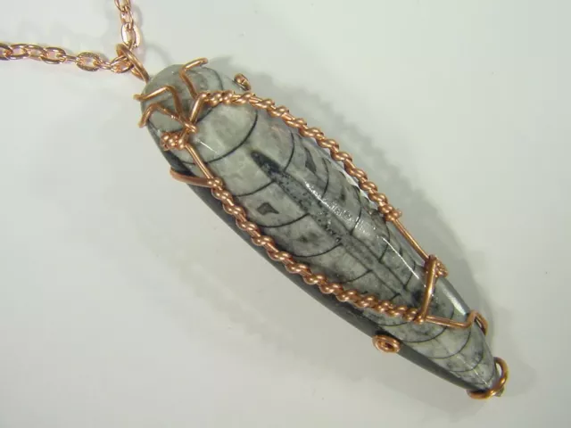 BUTW Copper Wire Wrapped Orthoceras Nautiloid 19mm X 79mm Pendant Necklace 3553D