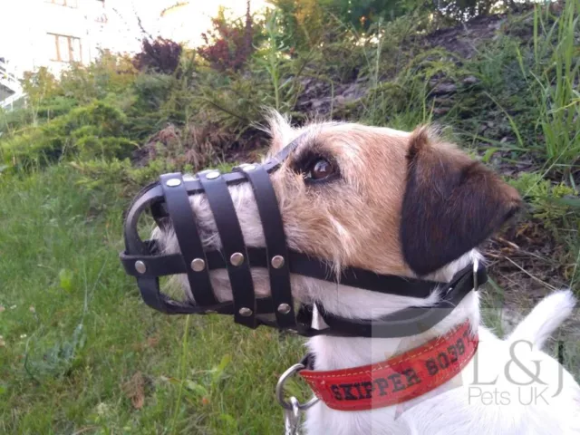 Leather Dog Muzzle for Jack Russell and other similar dog's