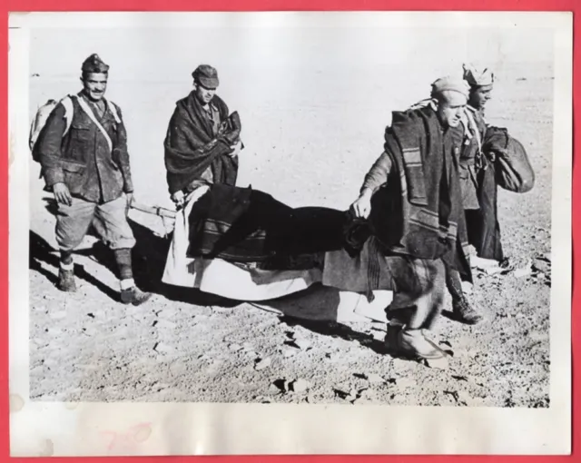 1941 Italians Captured in Libya Bring in Wounded Comrade 7x9 Original News Photo