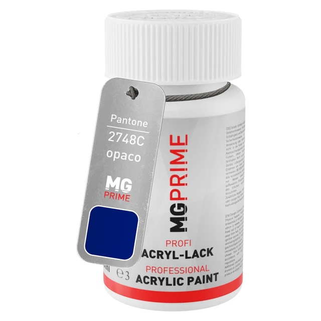 Pantone 2748C Blue opaco Stilo di ritocco da 50 ml ad asciugatura rapida