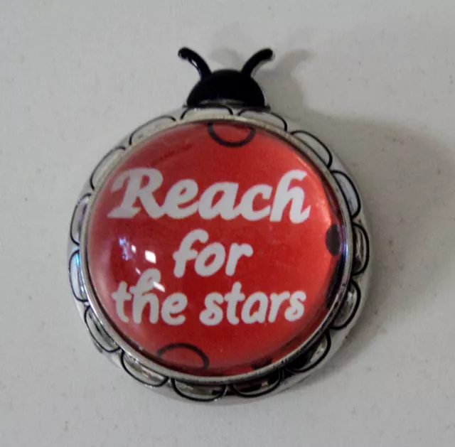 X1 Reach for the stars LUCKY LADYBUG CHARM FIGURINE Inspirational ganz Message