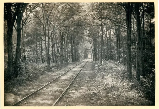 France, Pointe de Grave, Chemin de fer sous les bois  Vintage print. Gironde. Aq