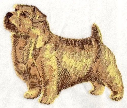 Embroidered Fleece Jacket - Norfolk Terrier I1191 Sizes S - XXL