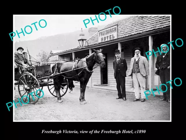 Old Large Historic Photo Of Freeburgh Victoria View Of The Freeburgh Hotel 1900