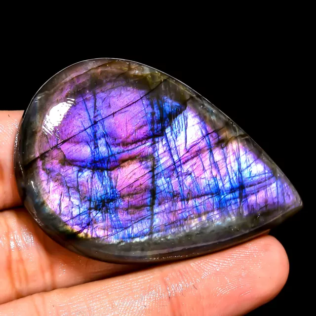 Natürlich Lila Labradorite Birne Cabochon Lose Edelstein 136.00 Cts. (36x54x8 MM