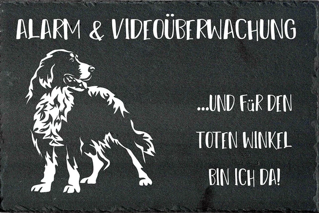 12 "x8" Avvertimento Americano Bullo Cane Segno Di Metallo - Foto 7