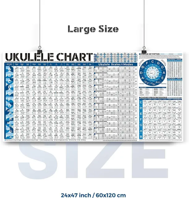Ukulele Reference Chords Scales Chart Wall Instrument Poster 24" x 47" - sealed