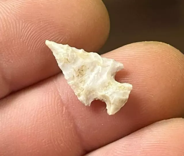 Colorful Scallorn Point Missouri Arrowhead Authentic Indian Artifact B31