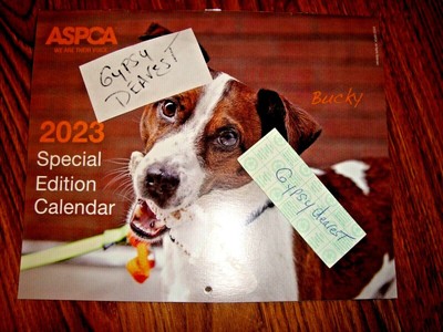 ASPCA 2023 SPECIAL Edition Wall Calendar Dogs Cats Horse Beautiful