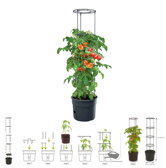 TOMATEN BOHNEN PFLANZKÜBEL Pflanzstab Rankhilfe Pflanztopf Garten