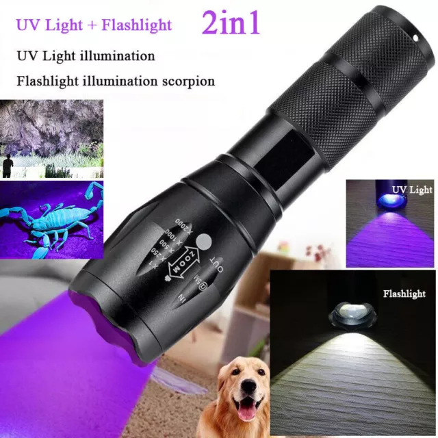 2IN 1 USB UV Ultra Violet+White LED Flashlight Blacklight 395nm Inspection Torch