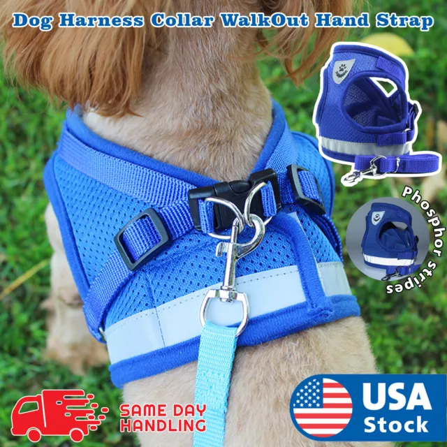 Small Dog Breathable Mesh harness Vest Collar soft chest strap XS-XL Leash set