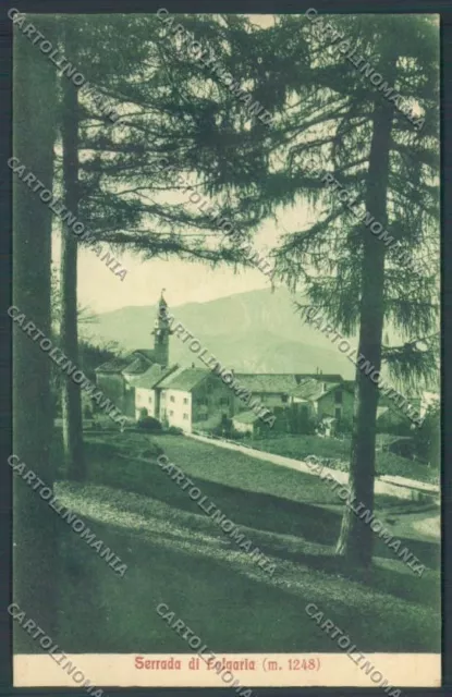 Trento Folgaria Postcard ZB1062