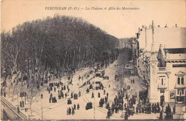 Cpa 66 Perpignan Les Platanes Et Allee Des Marronniers