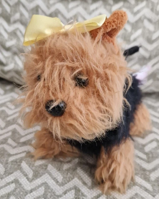 Our generation yorkshire terrier cheap