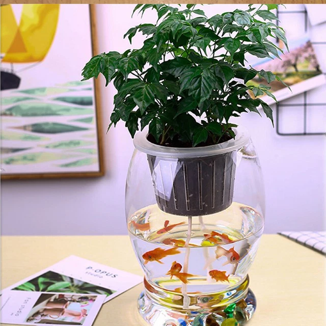 African Violet Rope Automatic Light Bulb Outdoor Hydroponic Plants Water Rope 9