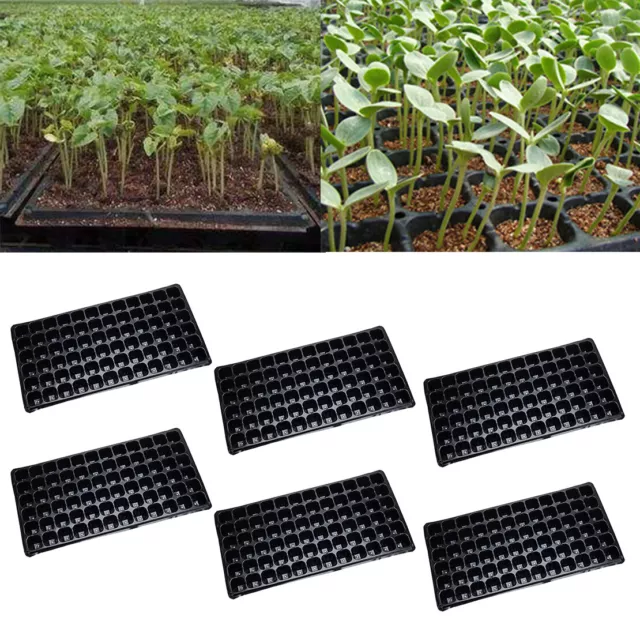 72 cell Plug Trays, (Qty. 6) Seed Starting trays, Cloning, Propagation Flats New