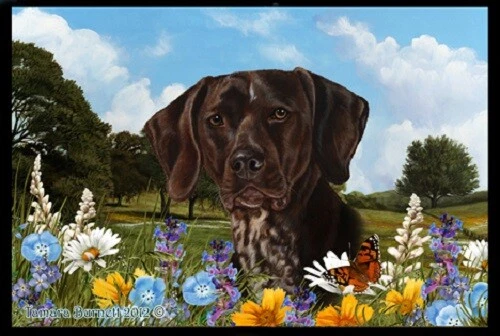 Summer Floor Mat - German Shorthaired Pointer 39049