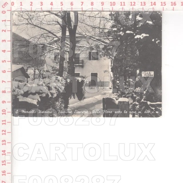 F8287 Pistoia San Marcello Pistoiese Limestre 1955 Villa Flora Neve Edit Mucci