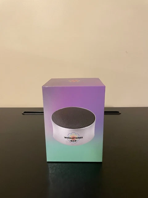Reproductor de música para llevar clásico Wholetones Peace Relaxation plateado