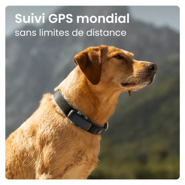 Tractive DOG 4 | Collier GPS chien avec moniteur de santé | Bleu | RECONDITIONNÉ 2