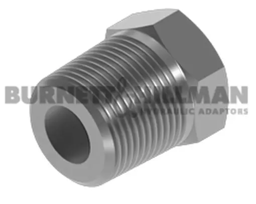 Burnett & Hillman Bspt 2.5cm Mâle X Nptf 0.6cm Fixé Femelle Bush Adaptateur