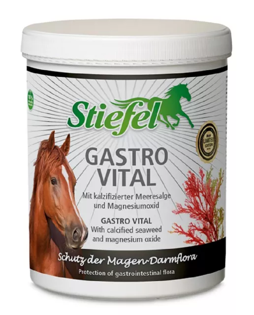 Stiefel Gastro Vital 1 kg Ergänzungsfutter Pferd Magengesundheit Mineralien