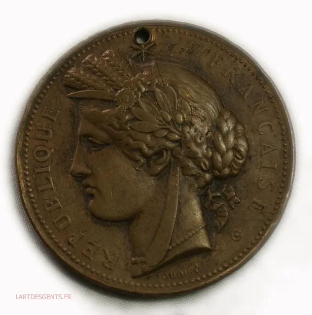 Médaille Exposition Universelle Paris 1878 Par Oudiné, A. Dubois (GERM) med424