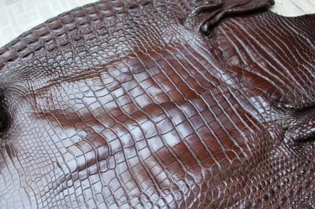 Long 47" Genuine Real Alligator Crocodile Skin Leather Exotic Pelt taxidermy