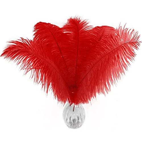 Piokio 20 pcs Red Ostrich Feathers 12-14 inch30-35 cm Bulk for DIY Christmas ...