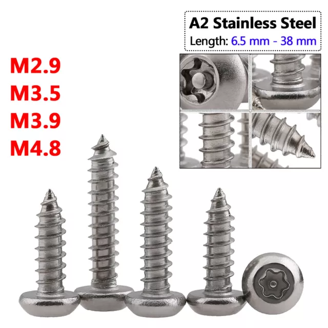 Security Pin Screws Torx Button Head Wood Screws Self Tapper M2-M5 A2 Stainless