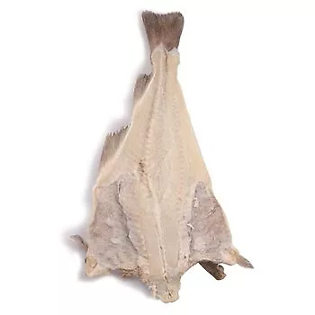 Baccala' Islandese 3 Kg Ala Intera Con Spina Salinata Prima Qualita' Merluzzo Baccala' Islandese 3 Kg Ala Intera Con Spina Salinata Prima Qualita' Merluzzo