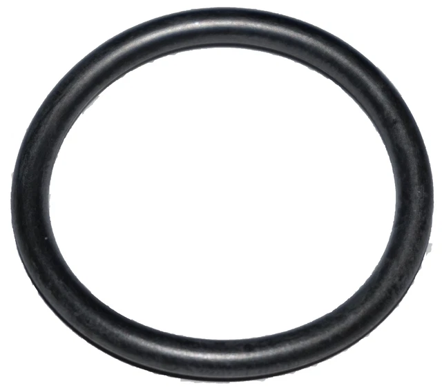 Didiesse Guarnizione O-ring per Macchine Caffè ESE e Frog Resistente