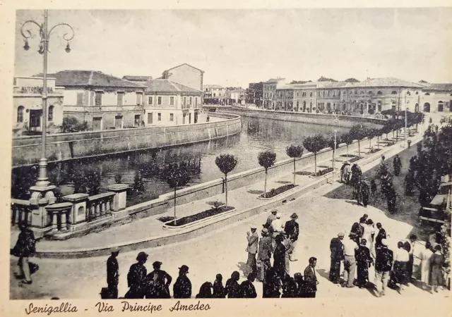 Cartolina - Senigallia ( Ancona ) - Via Principe Amedeo - 1935 ca.