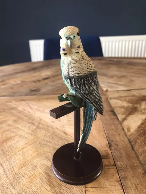 Budgerigar On Wooden Perch Stand Budgie Excellent Condition