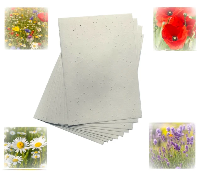 SEEDED CRAFT PAPER A4 A5 A6 Sheets Size Choose Size and Seeds 200GSM