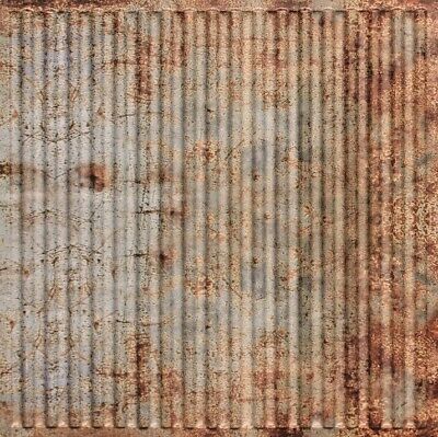 Faux Old Tin Roof PVC Decorative Ceiling Tile 2' x 2' (Lot of 25) #261 Drop-in