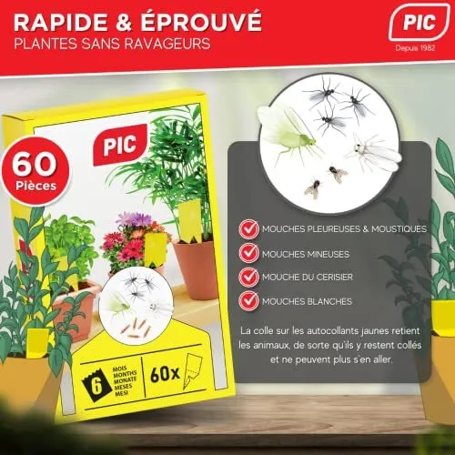 60PCS Anti Moucheron Plante,Attrape Mouche,Pièges à Insectes